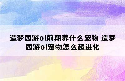 造梦西游ol前期养什么宠物 造梦西游ol宠物怎么超进化